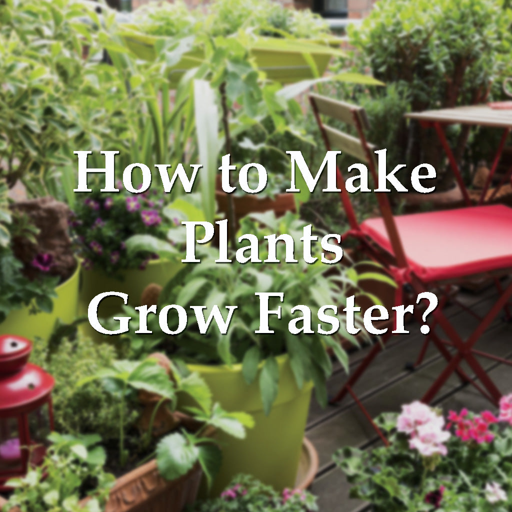 Lush garden patio with flowering and leafy potted plants, red chairs, and text overlay asking ‘How to Make Plants Grow Faster?