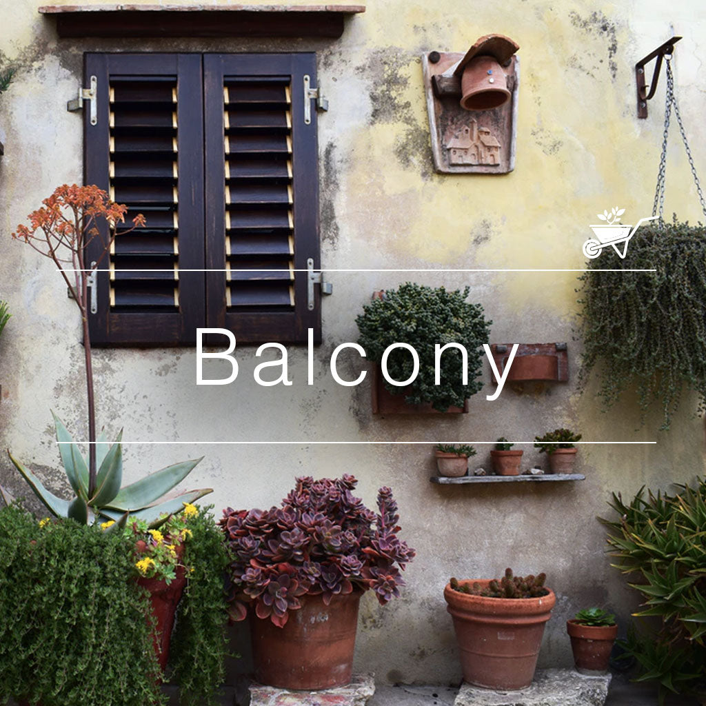 A cozy balcony garden with potted plants, hanging greenery, and rustic decor against a yellow wall.