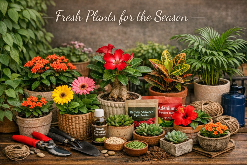 Collection of potted plants and gardening supplies on a wooden table with text 'Fresh Plants for the Season'