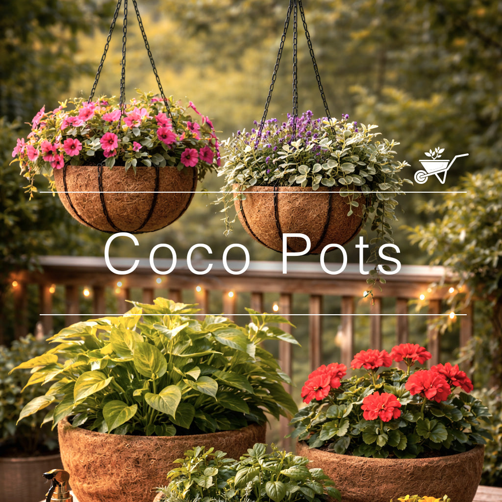 Coco coir pots with colorful flowers on deck and hanging baskets