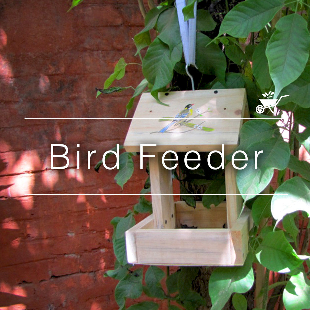 Bird Feeder