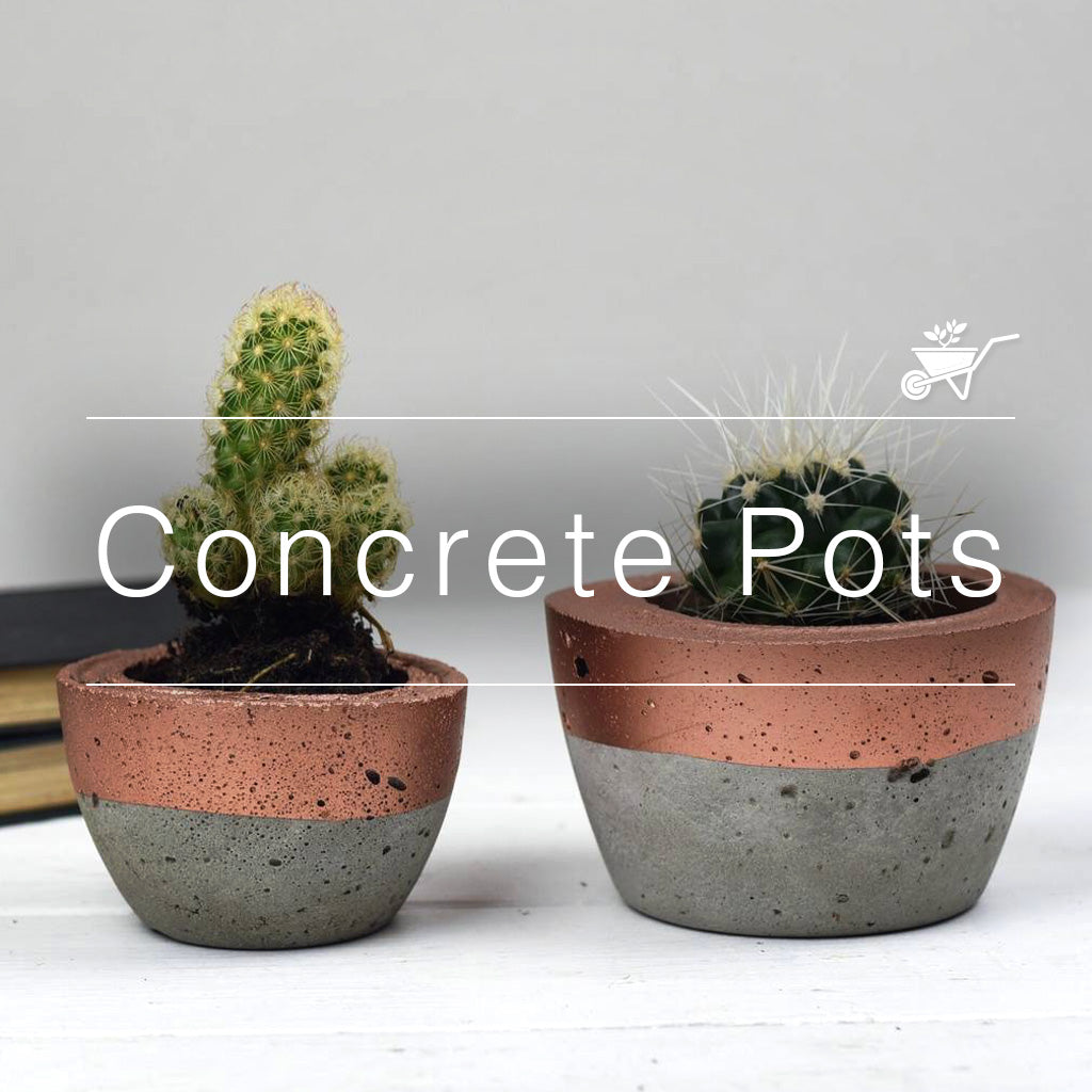 Concrete Pots
