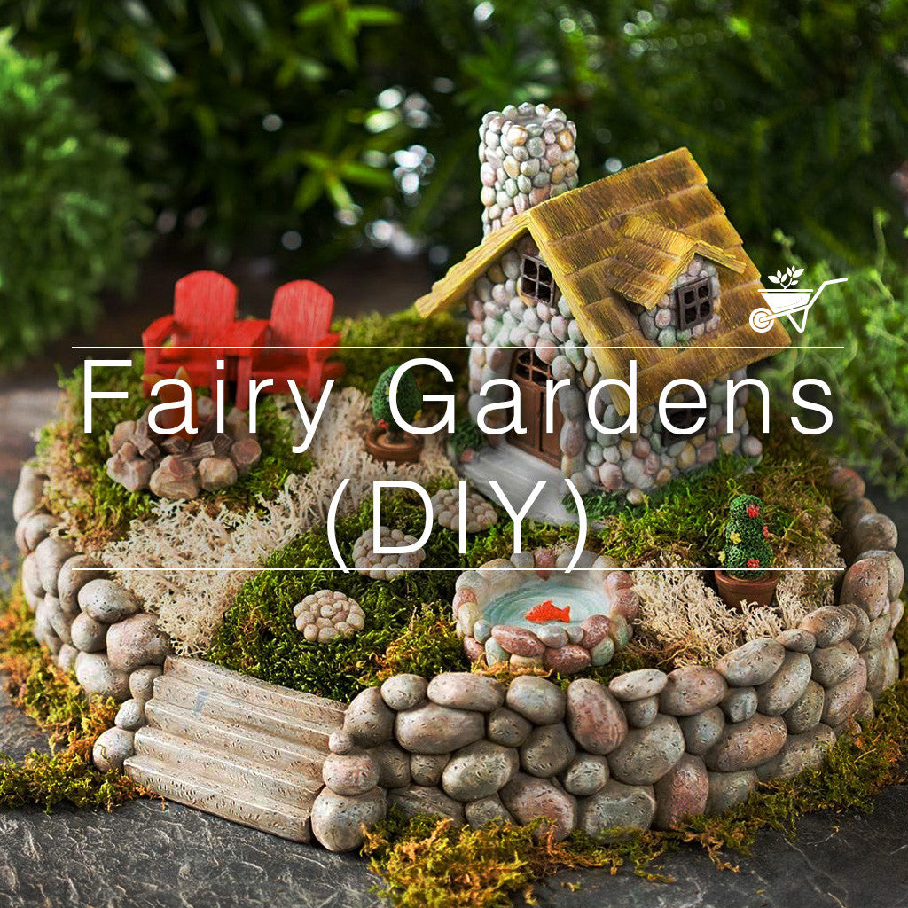 Mini Fairy Garden Online | Miniature Fairy Zen Garden | MyBageecha ...