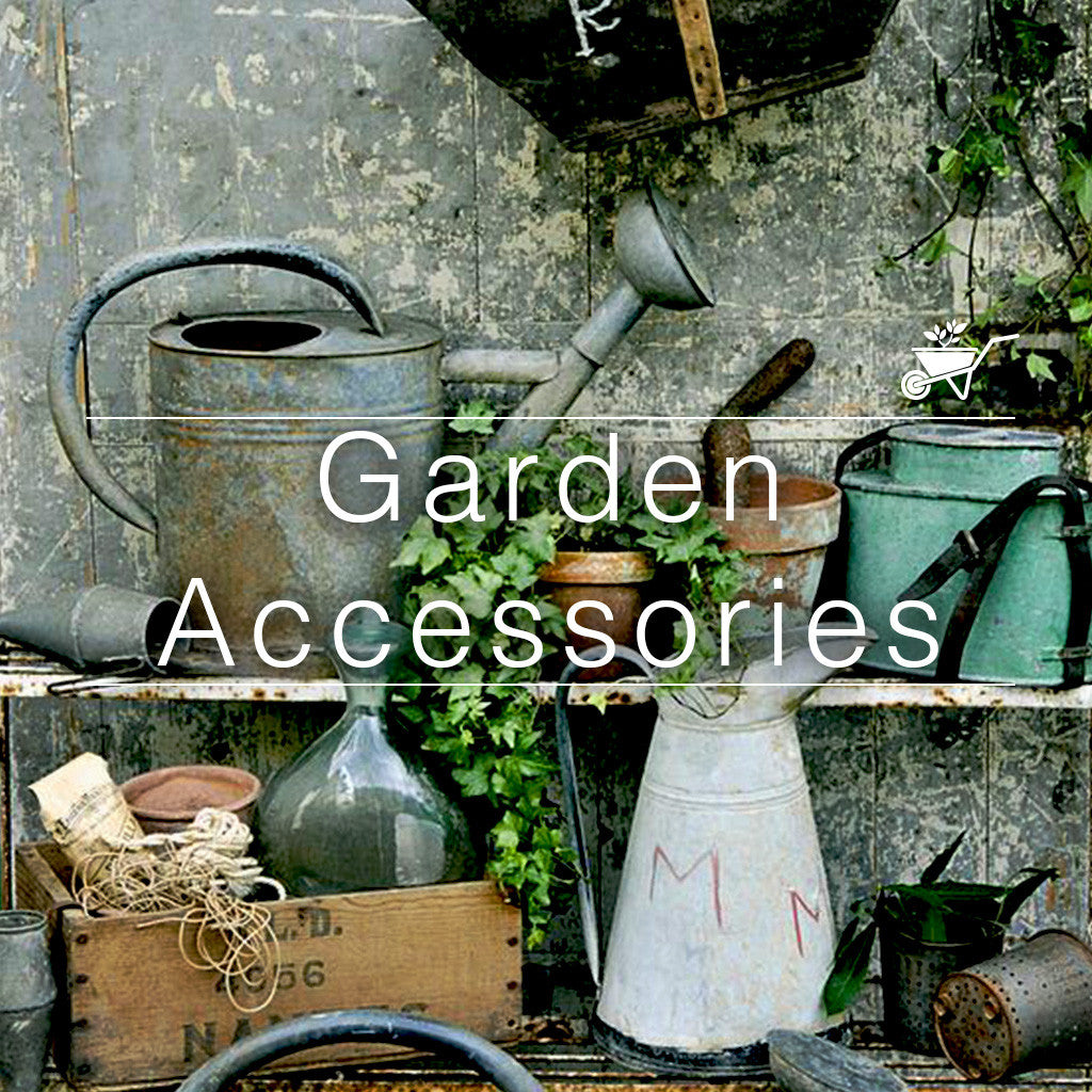 "Vintage garden tools and accessories on shelves