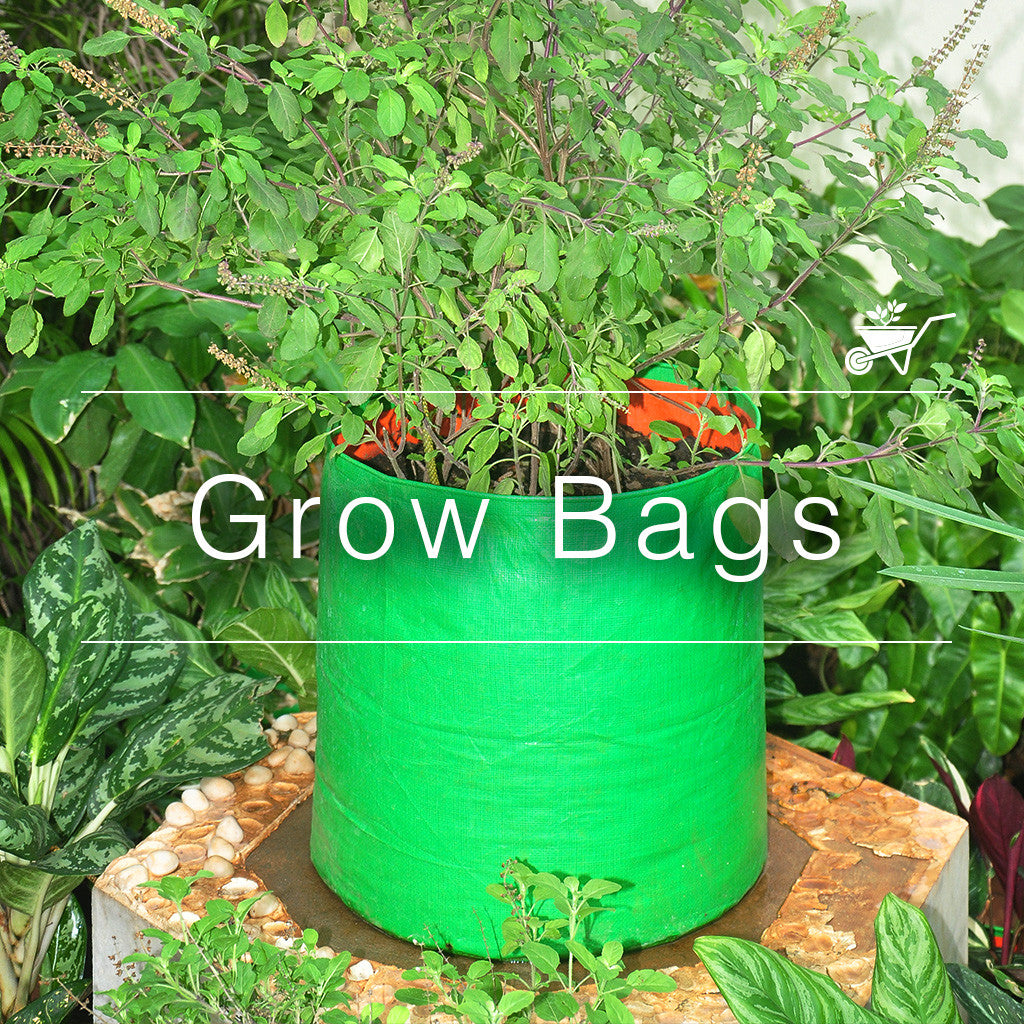 HDPE UV Grow Bag with Tulsi Plant for Balcony and Terrace Kitchen Gardening – myBageecha
