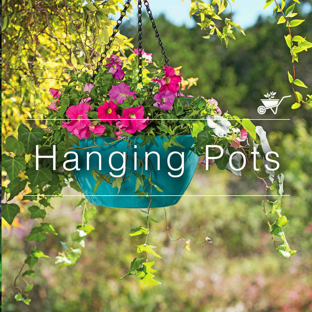 Decorative teal hanging planter with pink petunia flowers and trailing vines in outdoor garden