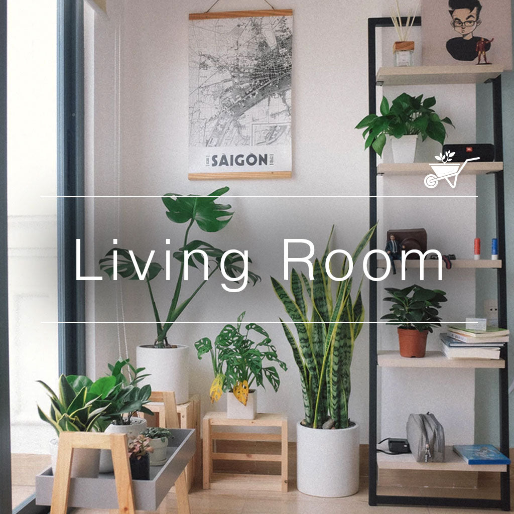 Modern living room with potted plants styled by myBageecha