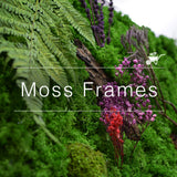Preserved moss wall art frame with eco‑friendly natural foliage – myBageecha