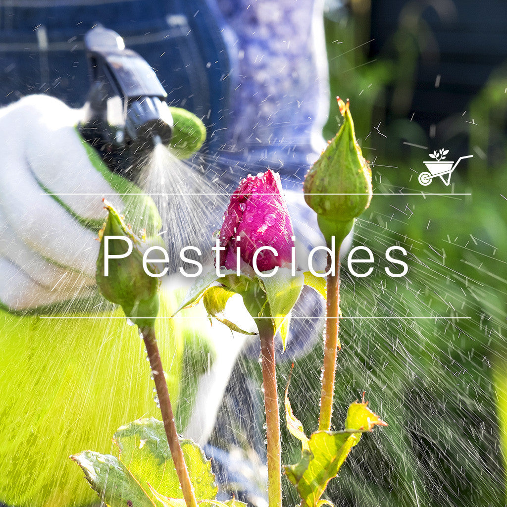 Pesticides