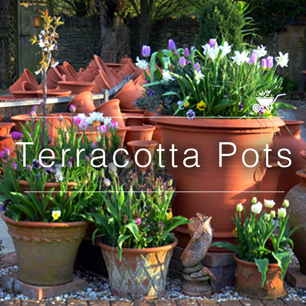Terracotta Pots – Assorted Sizes and Designs – myBageecha