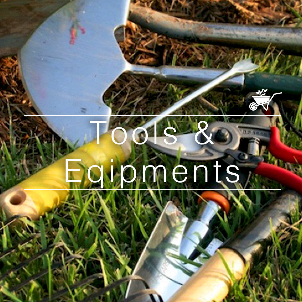Tools & Equipments