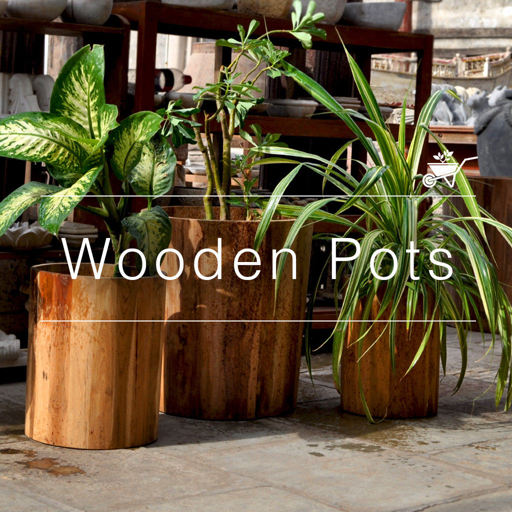 Wooden Pots