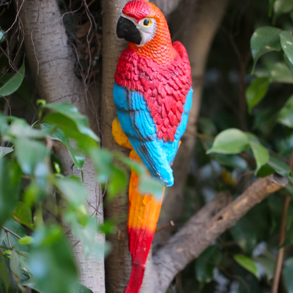 Multicolour Parrot Decor - myBageecha