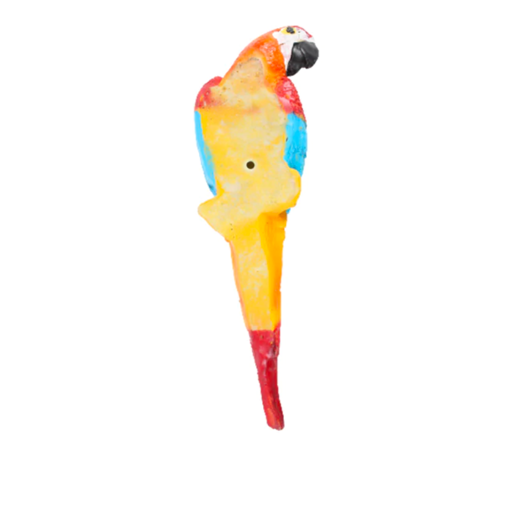 Multicolour Parrot Decor - myBageecha