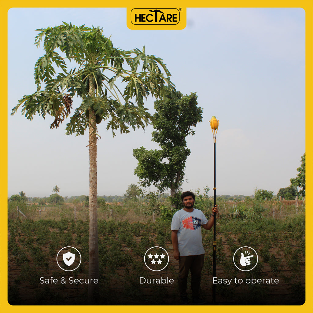 Fruit picking tool without pole attachment -myBageecha