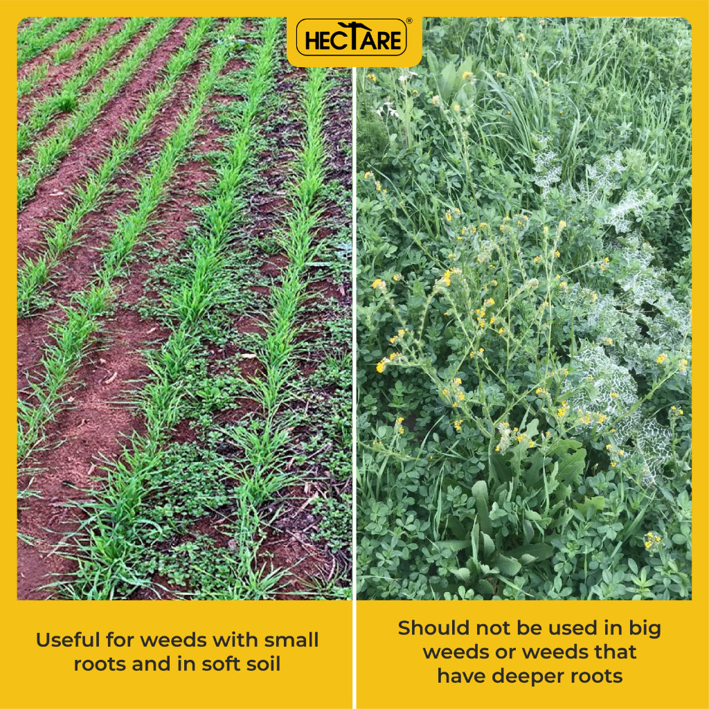 Hectare Hand Weeder with 8 inch Blade-myBageecha