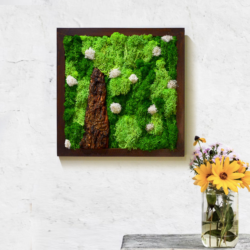 A Lichen Bog preserved moss frame in dark wood – front view