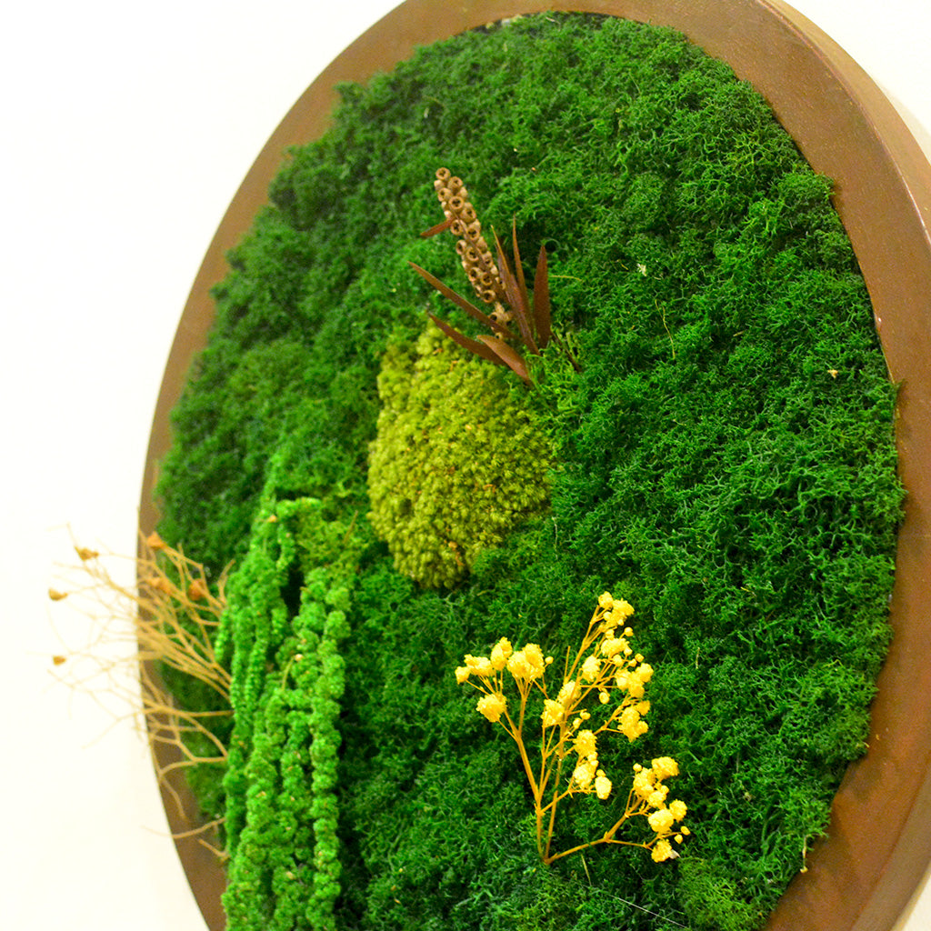 Textured natural moss – close-up décor