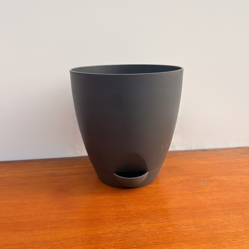 Aqua_Self_Watering_5-inch_grey-myBageecha