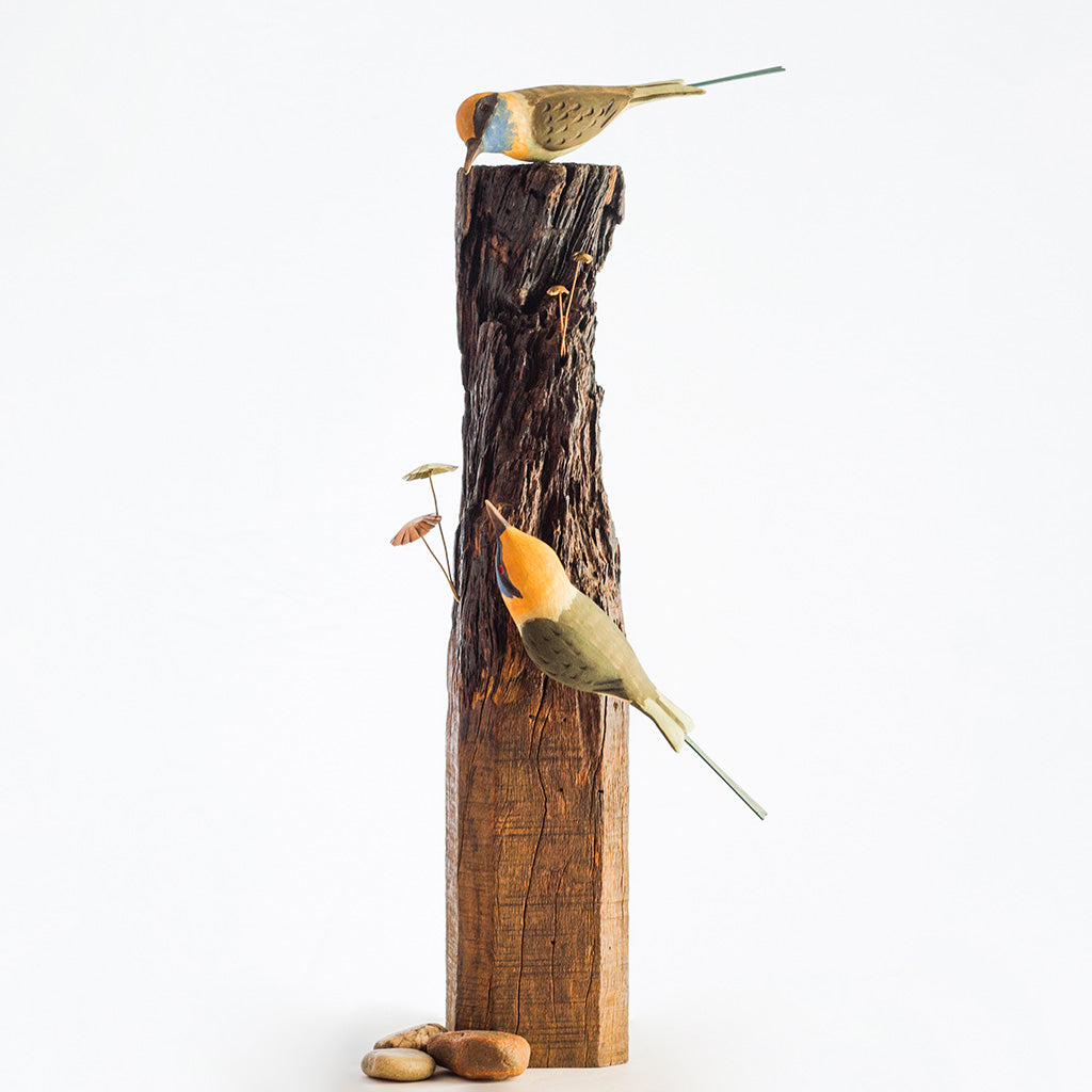 Exotic Bee Eater Wooden Base Table Tops - myBageecha