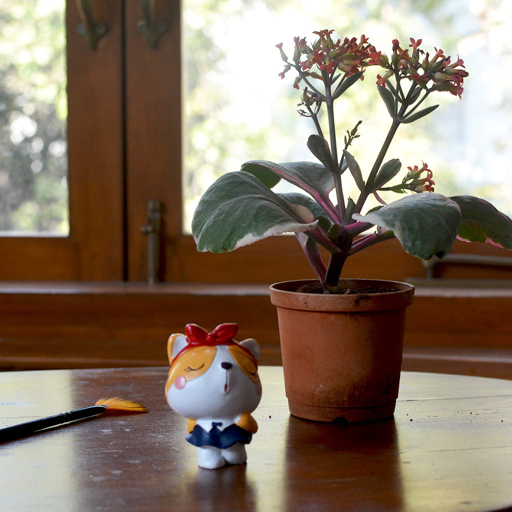 Miniature Big Head Cat – Cute Resin Decor for Terrariums cute pet décor