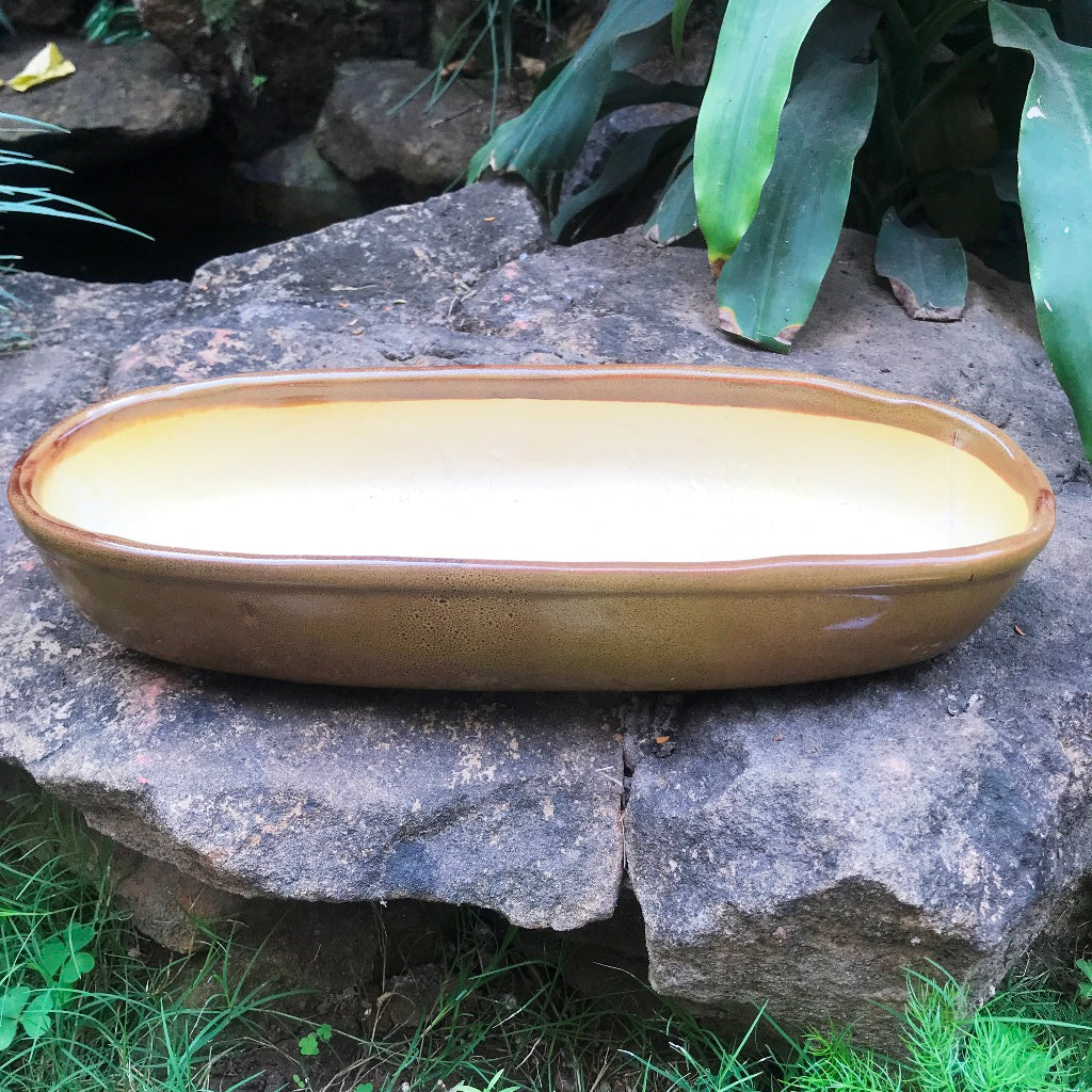 Chiselled Bonsai Ceramic Tray – Knox Gold – myBageecha