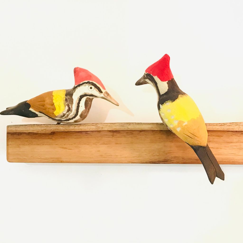 Exotic Birds - Woodpecker - myBageecha