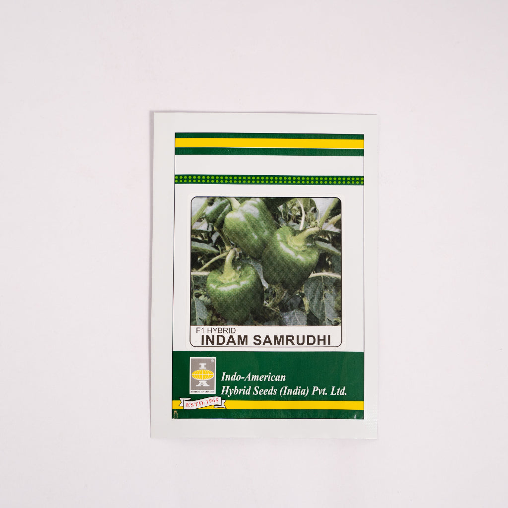 Fruiting vegetable, summer harvest-myBageecha