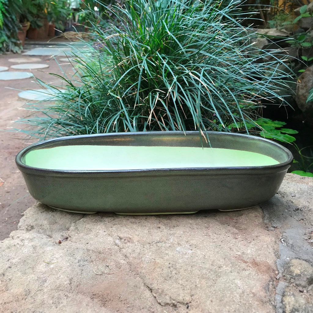 Chiselled Bonsai Ceramic Tray – Sage Green – myBageecha