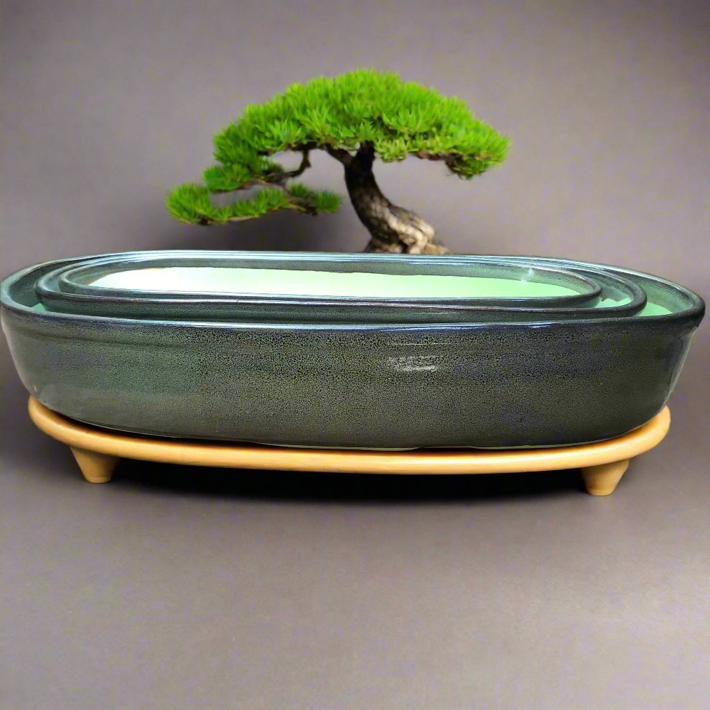 Set of 2 Chiselled Bonsai Tray – Sage Green – myBageecha