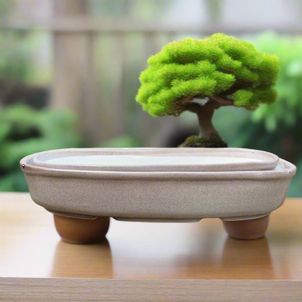 Set of 2 Chiselled Bonsai Tray – Smoke Grey – myBageecha