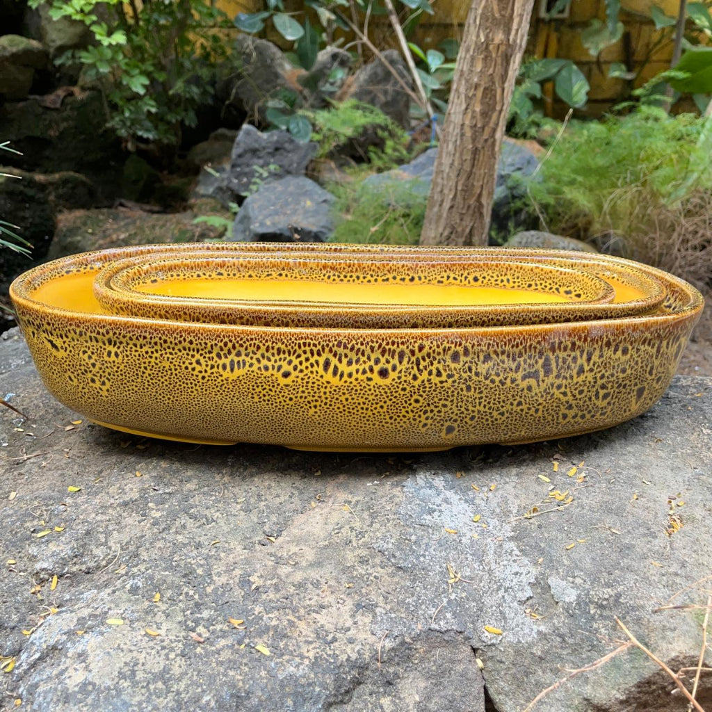 Set of 2 Chiselled Bonsai Tray – Speckled Mustard Yellow – myBageecha