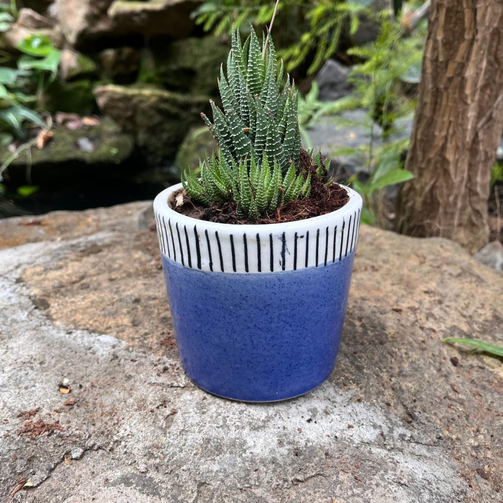 Coastal Edge Ceramic Pot-mybageecha