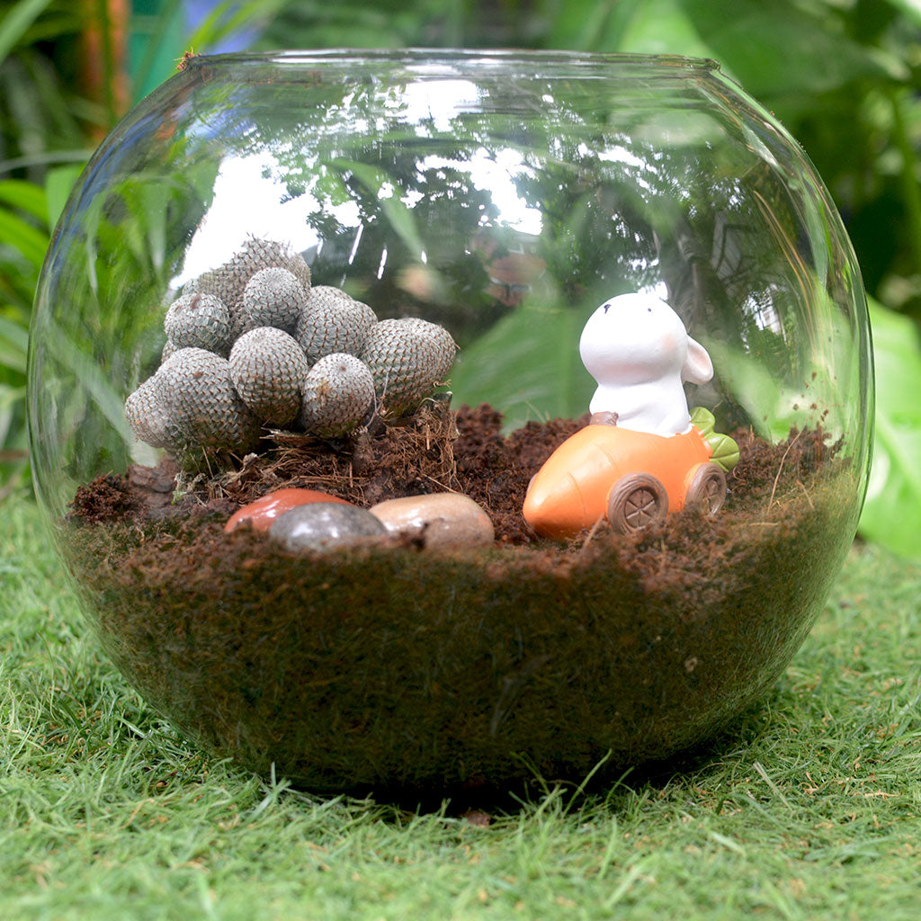 Cute animal miniature for tray gardens