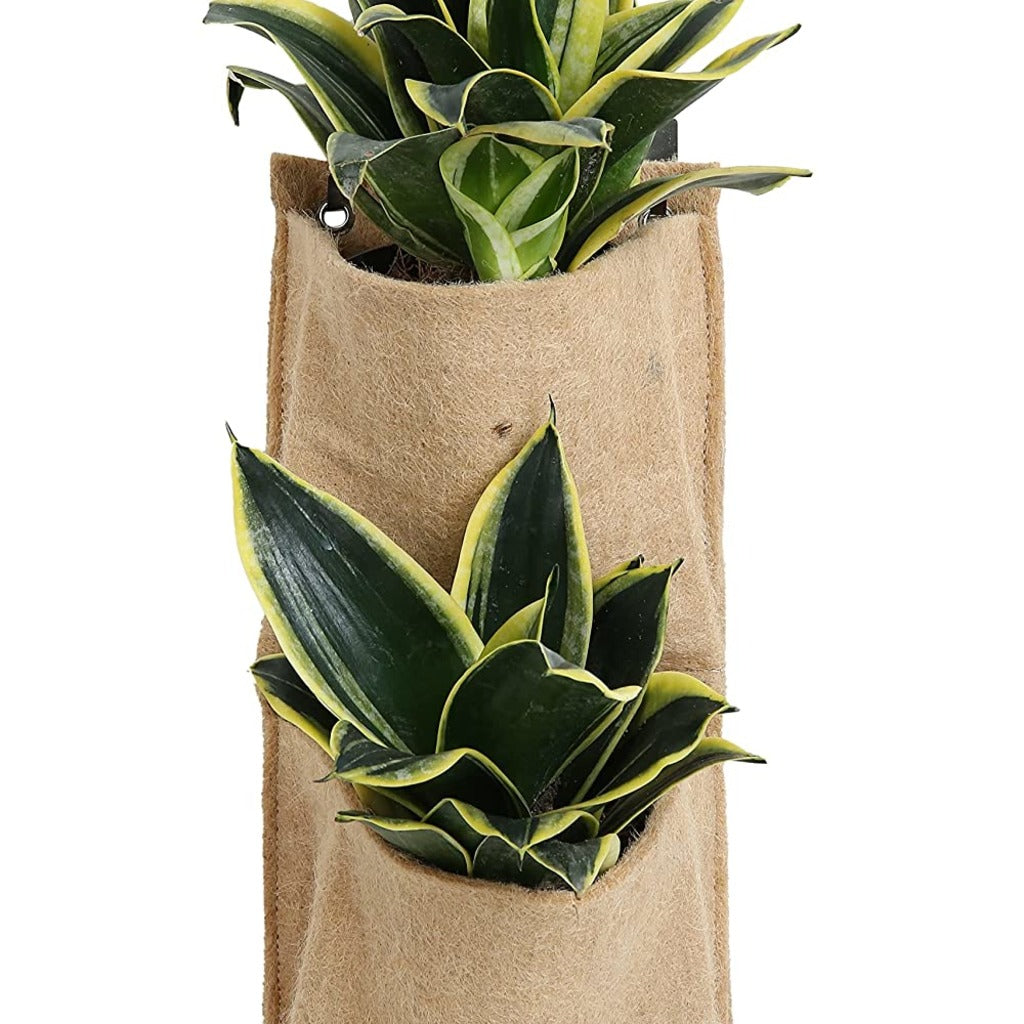Double Pocket Multi-Purpose Vertical Gardening Kits - myBageecha
