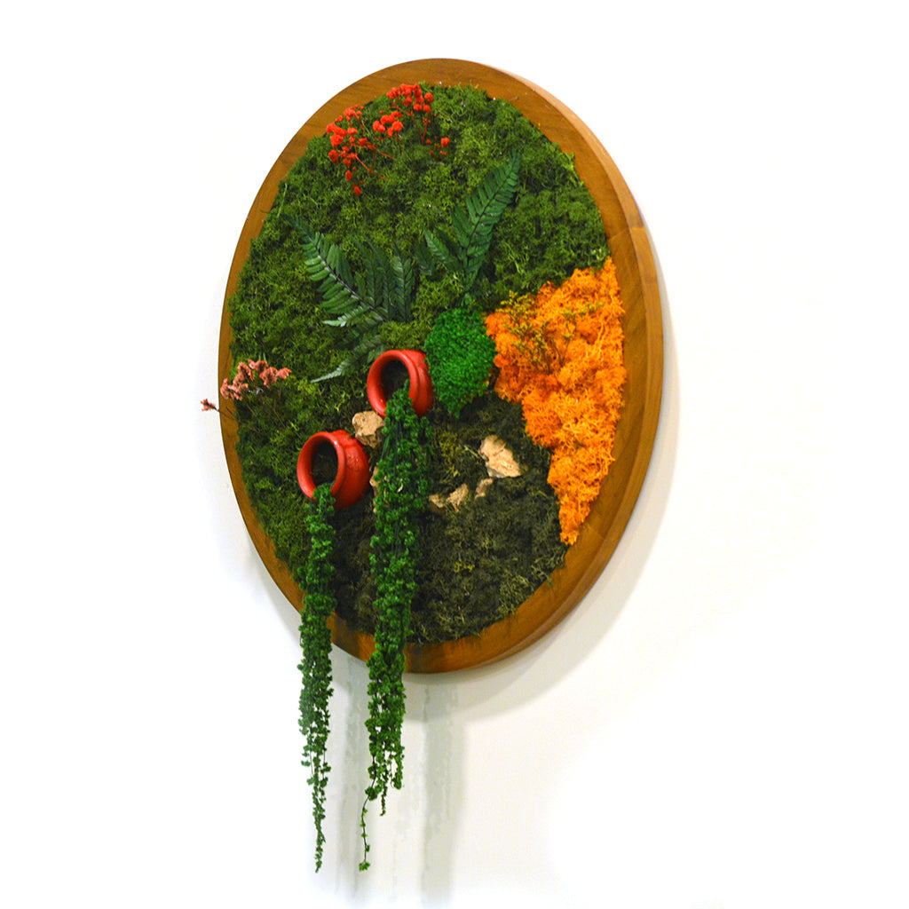 Earth & Ember moss frame handcrafted with nature by myBageecha