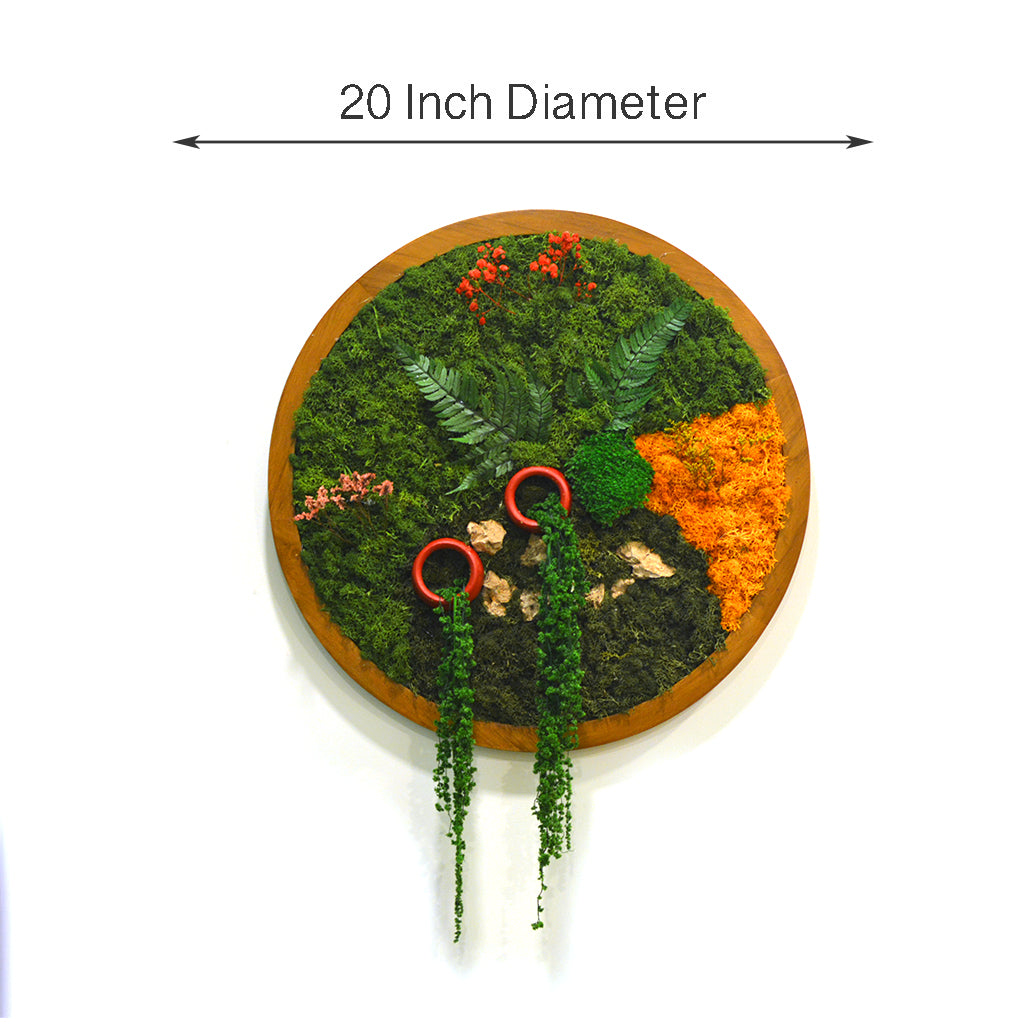 Earth & Ember preserved moss frame dimension details