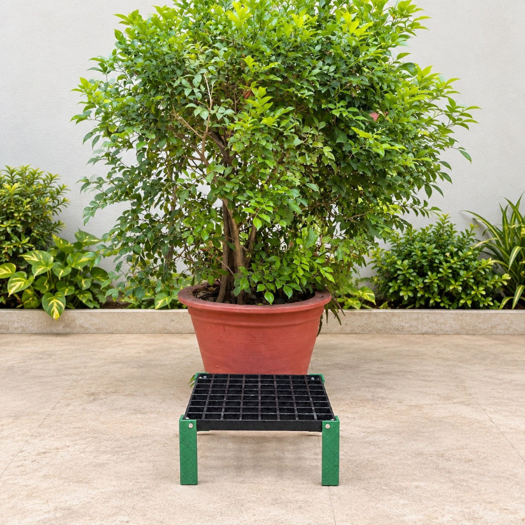 FRP Pot Stand shown in front of Potted Plant