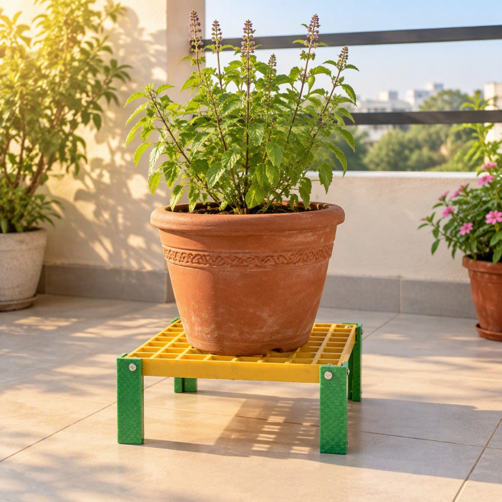 Tulsi_Plant on FRP Plant Stand