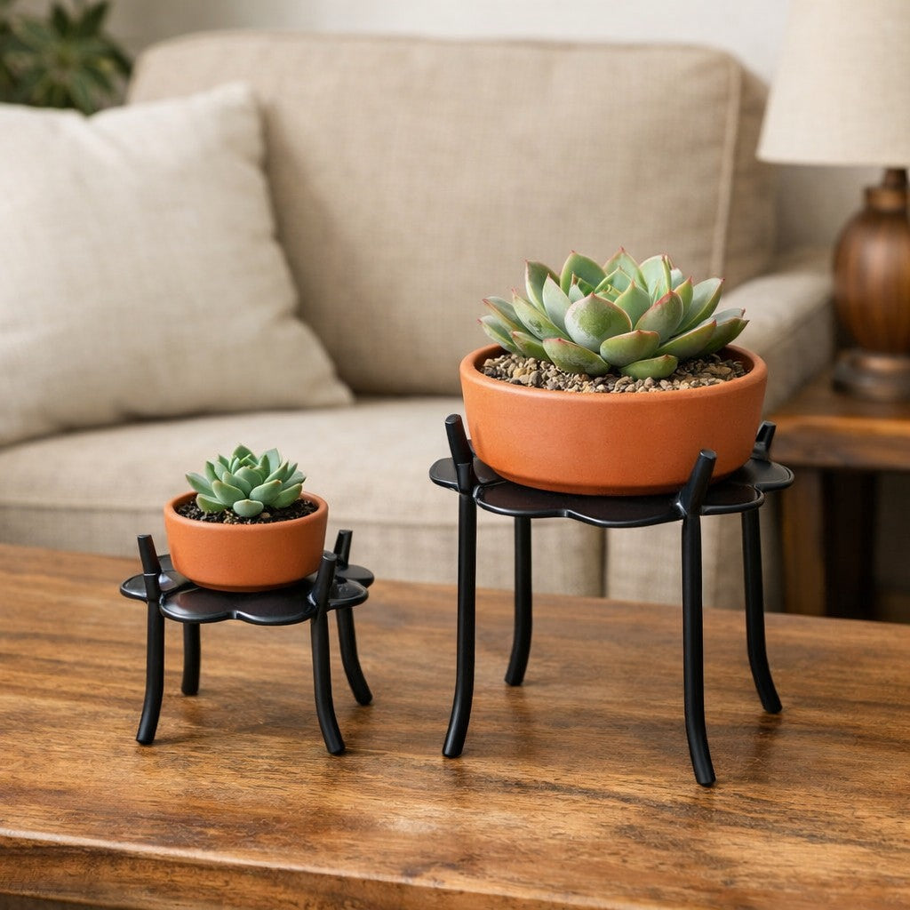 Succulent plants on set of Floral Stand in living room