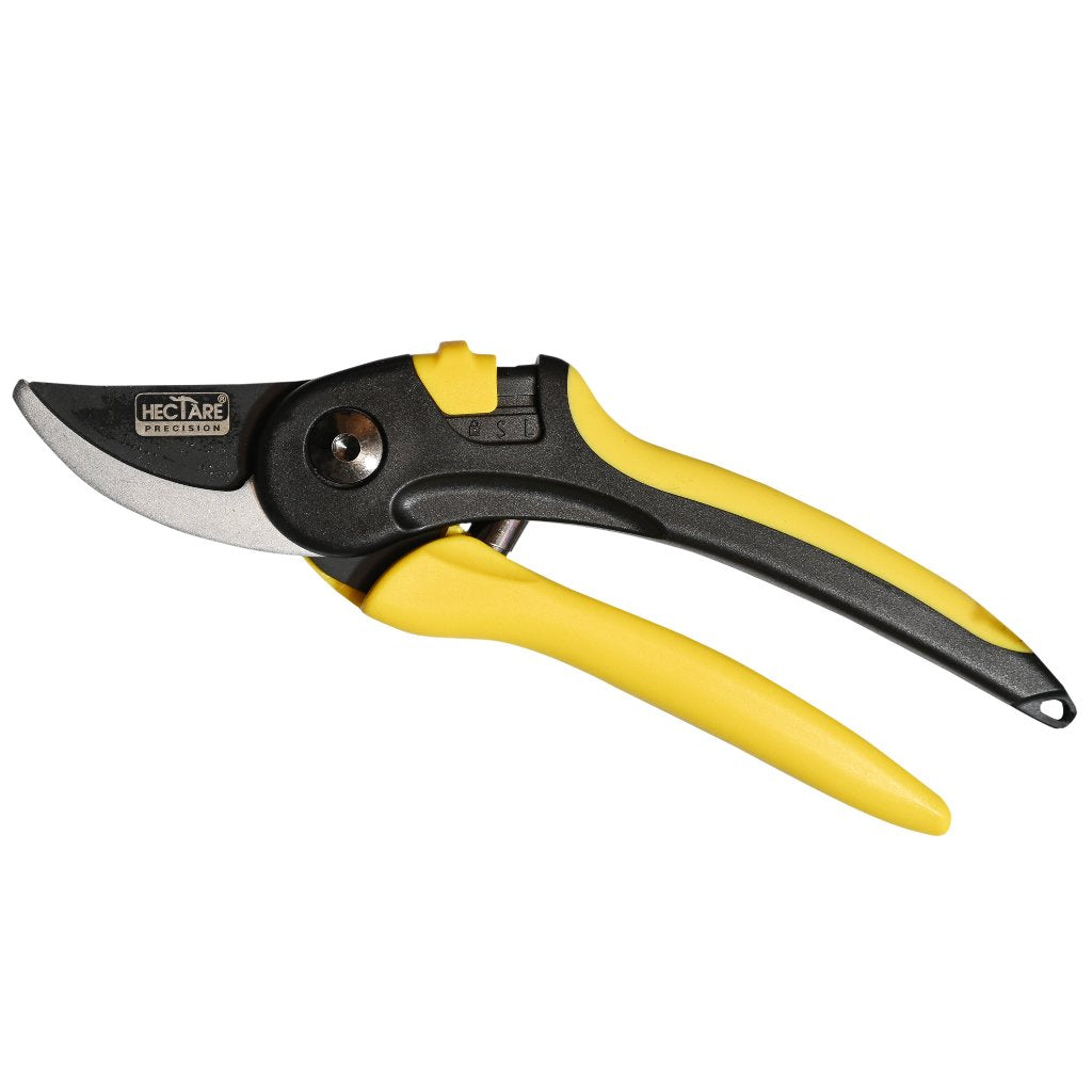 Clean cut with Hectare Precision Garden Pruning Secateur – Bypass Pruner 20mm