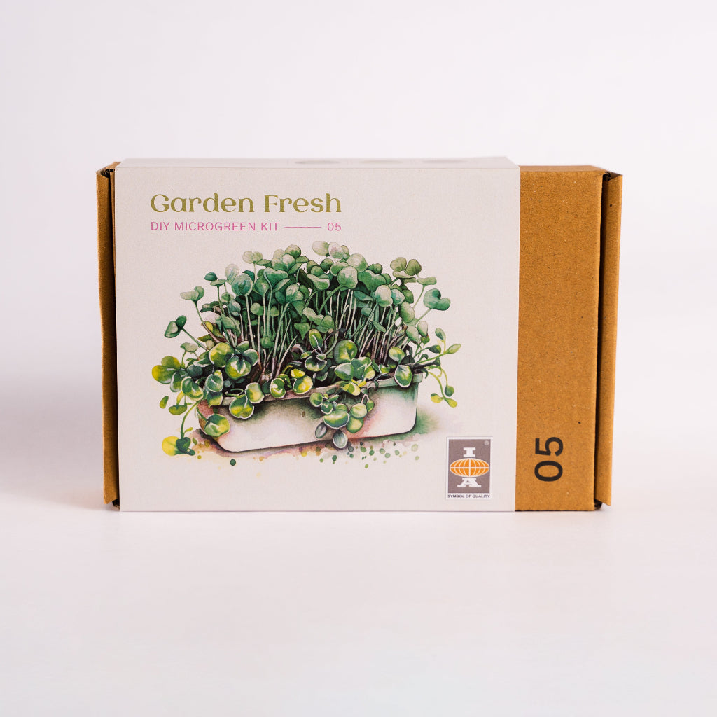 DIY Microgreen Kit – The Zesty Green Collection – myBageecha