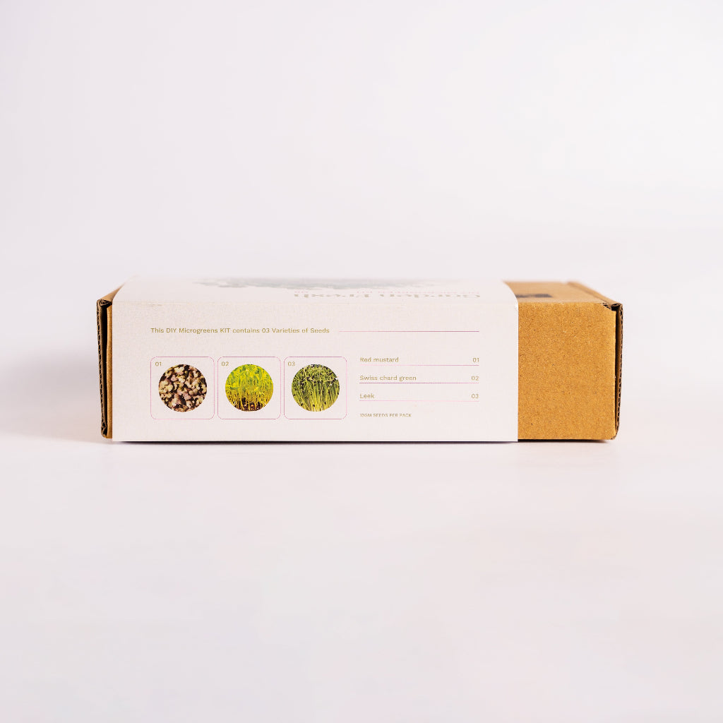 DIY Microgreen Kit-The Zesty Green Collection-myBageecha