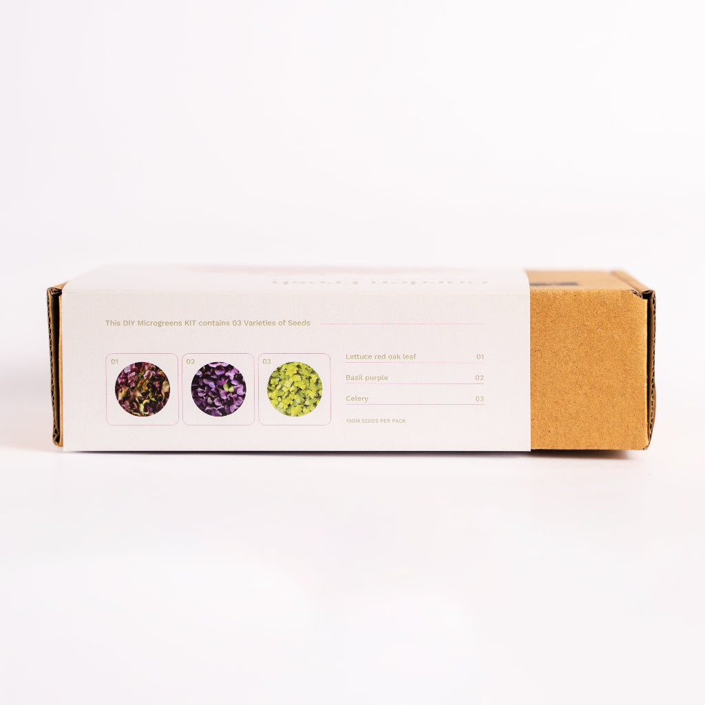 Herb Medley DIY kit for kitchen counters