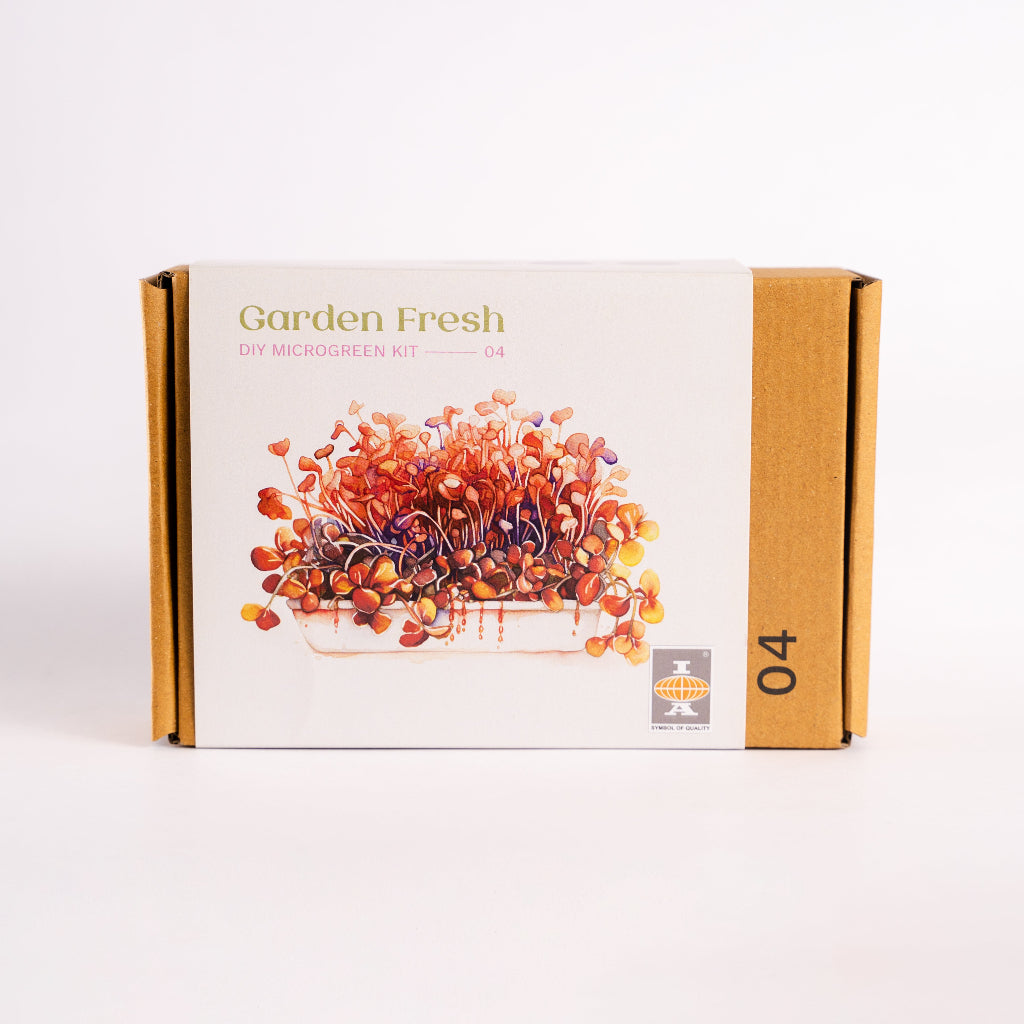 DIY Microgreen Kit – The Herb & Leaf Medley Collection – myBageecha