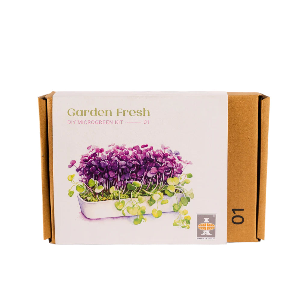 DIY Microgreen Kit – The Power Greens Collection – myBageecha