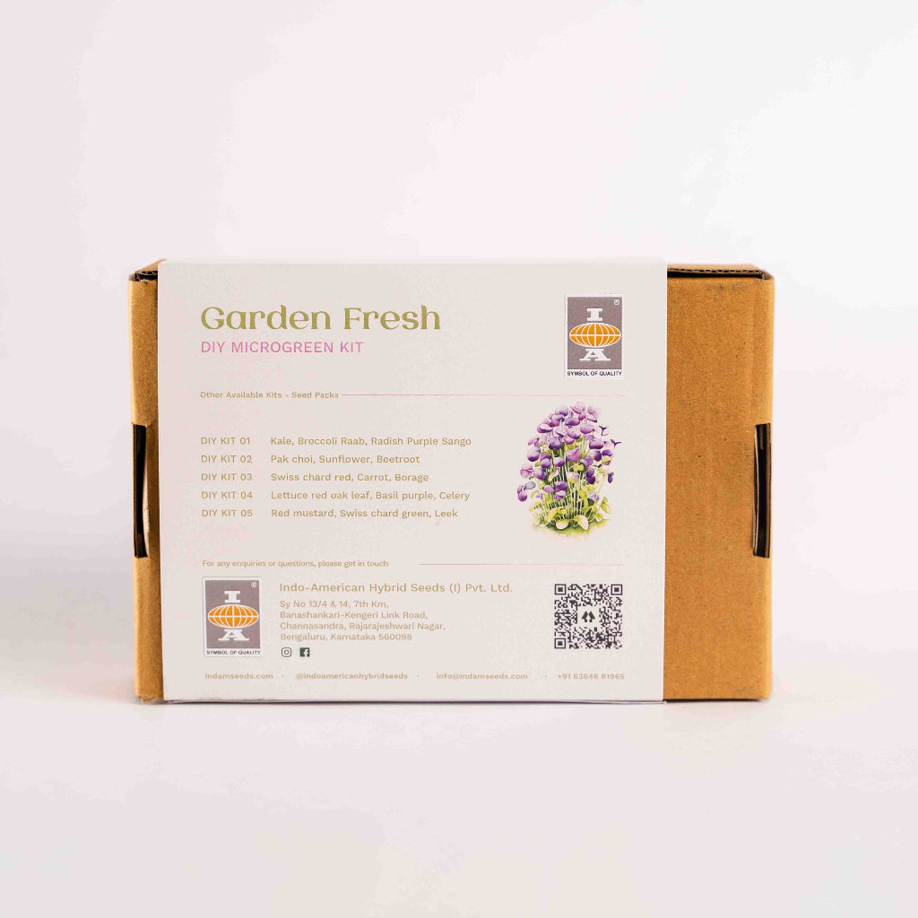 Zesty kit with tray, seeds & medium