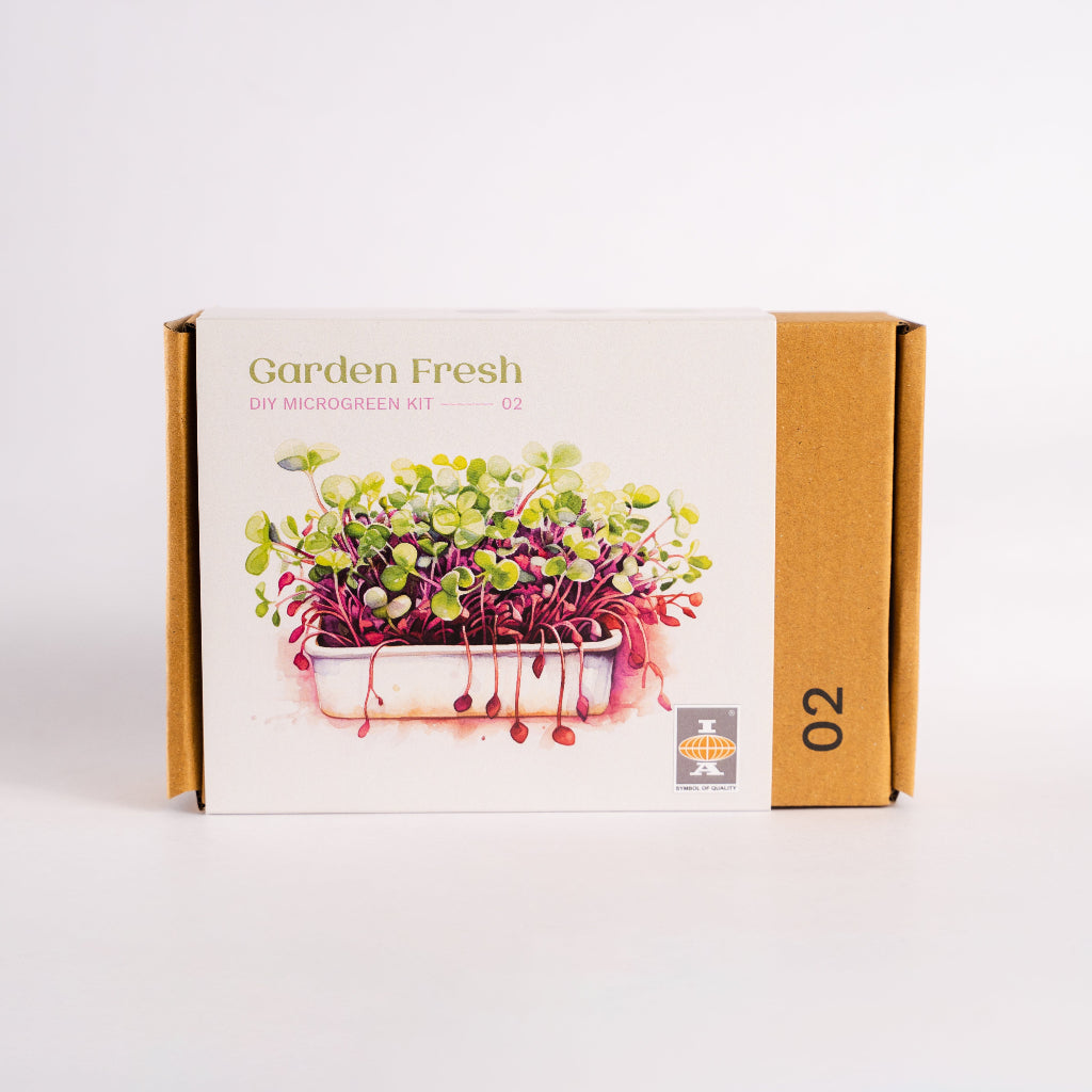DIY Microgreen Kit – The Nutri-Green Boost Collection – myBageecha