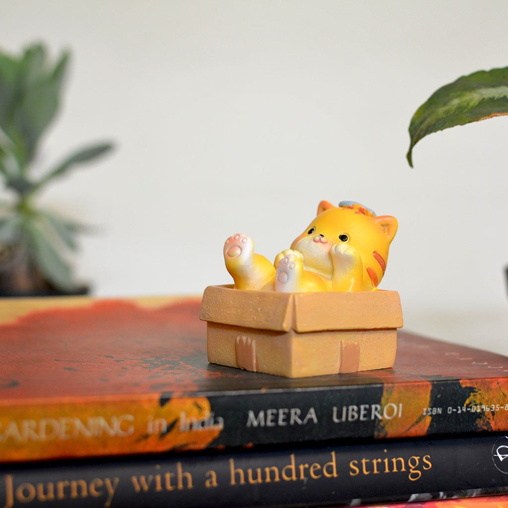 Miniature Kitten in Box Decor – Terrarium & Fairy Garden Miniature cat in box miniature accessory