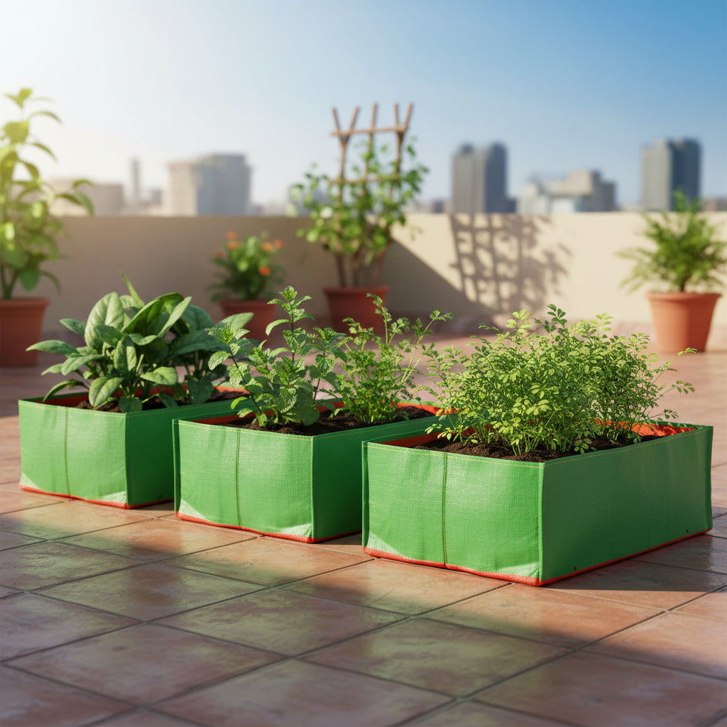 Large HDPE UV Grow Bags 24 x 12 x 6 Inch (Spinach & Herbs)